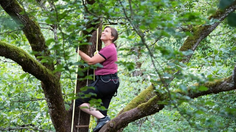 Parc National de forêts : l'appel de la forêt
